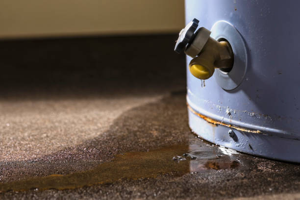 Best Basement water damage restoration  in Crane, TX