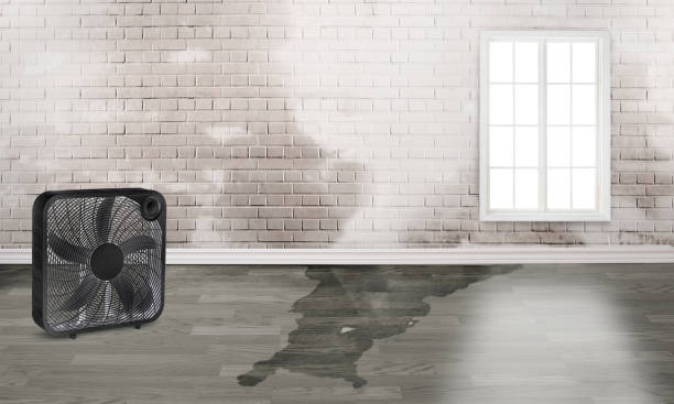 Best Fire Damage Restoration  in Crane, TX