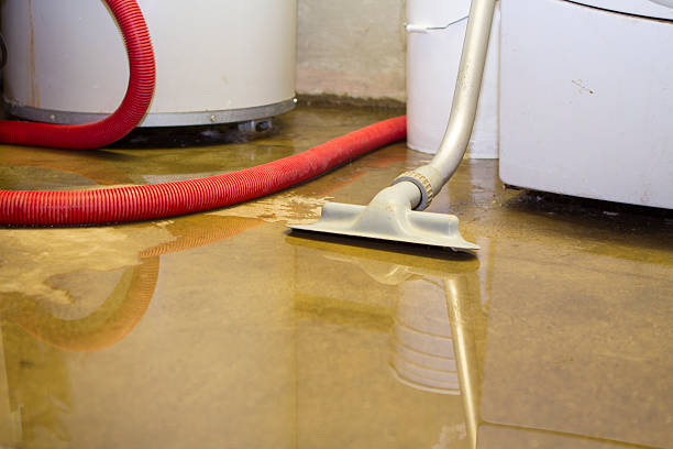 Best Commercial water damage restoration  in Crane, TX