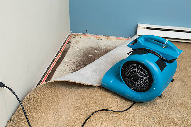 Best Residential water damage restoration  in Crane, TX